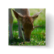 Deer Go Green Button