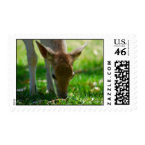 Deer Go Green Stamps