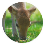 Deer Go Green stickers