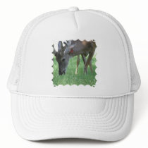 Deer Grazing Baseball Hat