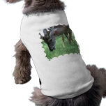 Deer Grazing Pet Shirt