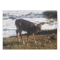 Deer cards