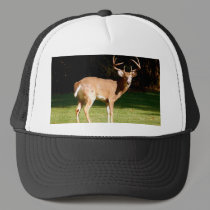 Deer hat