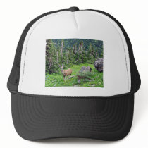 Deer Hats