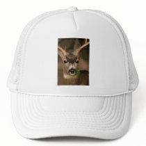 deer hats by WorldDesign deer hats