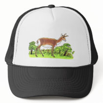 Deer Hats