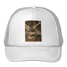 deer hats