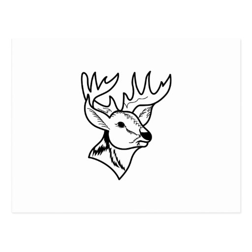 Deer Head Outline Postcard | Zazzle