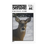 Deer Head Postage