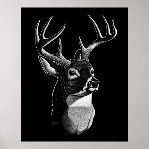 Deer Head Scratchboardstyle Poster Zazzle