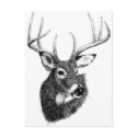 deer headgif postcards by Majestic_Animals deer headgif postcards