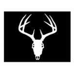 Deer Hunting Skull w/ Antlers Post Cards