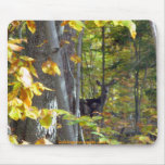 Deer in forest among golden leaves mousepads