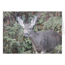 Deer in forest cards by sbkerrick Deer in forest cards