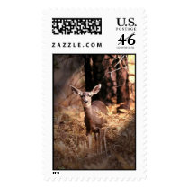 Deer in Forest postage by wdm_emm Deer in Forest postage