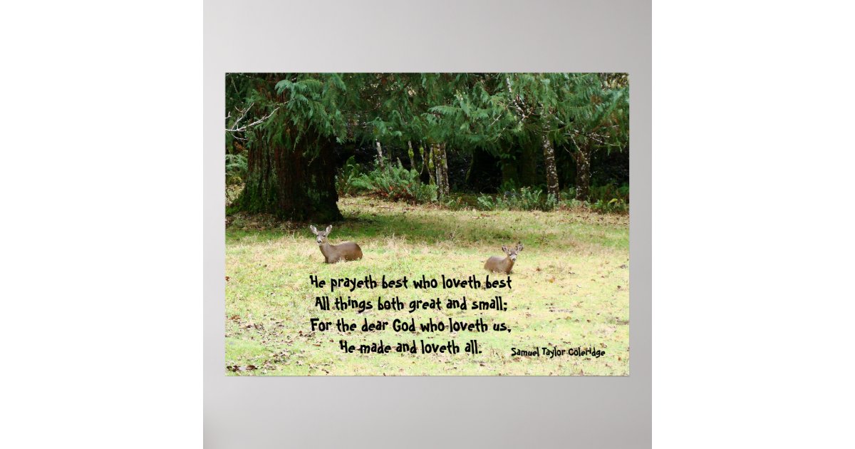 Deer in Meadow Poem Print Zazzle