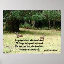 Deer in Meadow Poem Print