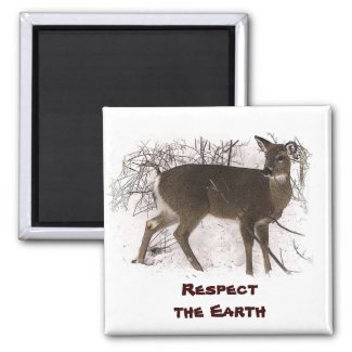 Deer in Snow - Earth Day magnet