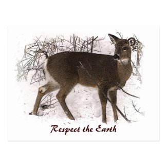 Deer in Snow Earth Day Postcards