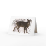 Deer in Snow Father's Day Greeting Cards
