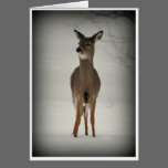 Deer in Snow Greeting Card cards