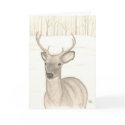 Deer in snow, thinking of you card