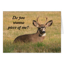 Deer In The Grass Greeting Card