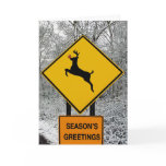 Deer in the Headlights Cards