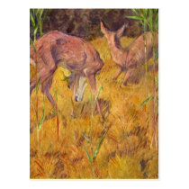 Deer in the reed by Franz Marc postcards