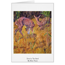 Deer In The Reed By Marc Franz Greeting Cards