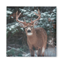 Deer in the Snow Magnet by screwballgraphics Deer in the Snow Magnet