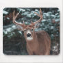 Deer in the Snow Mousepad