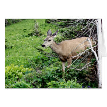 Deer in the Woods Greeting Card