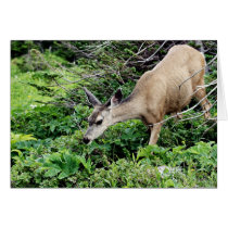 Deer in the Woods Greeting Card