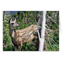 Deer in the Woods Greeting Card