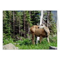 Deer in the Woods Greeting Card