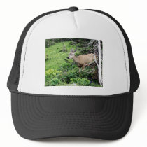 Deer in the Woods Hat
