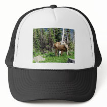 Deer in the Woods Mesh Hat
