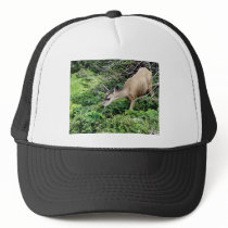 Deer in the Woods Mesh Hat