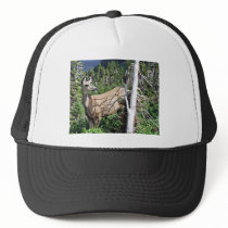 Deer in the Woods Hat