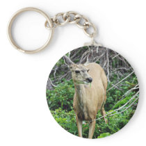 Deer in the Woods Keychains