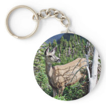 Deer in the Woods Key Chains