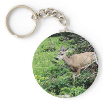 Deer in the Woods Key Chains