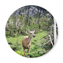 Deer in the Woods Fridge Magnet