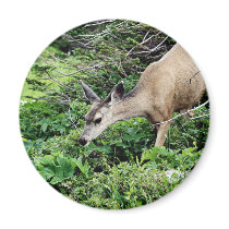 Deer in the Woods Refrigerator Magnet