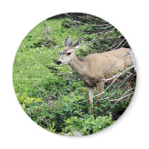 Deer in the Woods Refrigerator Magnet