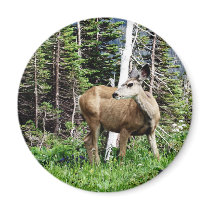 Deer in the Woods Magnets