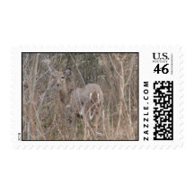 Deer in the Woods Stamp
