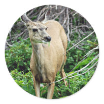 Deer in the Woods Round Stickers
