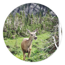 Deer in the Woods Round Stickers